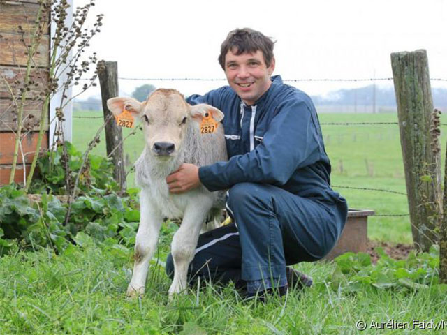 Cyrille Plongué - Producteur de lait, vaches à lait et vaches à viande